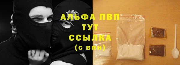 мдпв Рославль